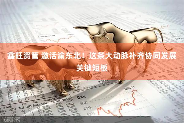 鑫旺资管 激活渝东北！这条大动脉补齐协同发展关键短板