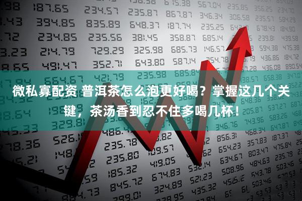 微私寡配资 普洱茶怎么泡更好喝？掌握这几个关键，茶汤香到忍不住多喝几杯！