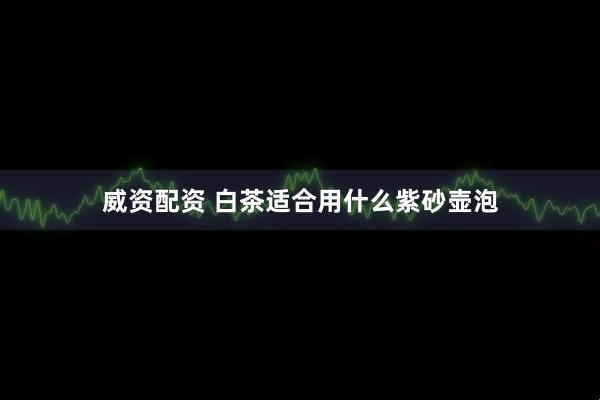 威资配资 白茶适合用什么紫砂壶泡